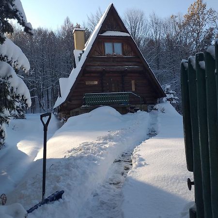 Вілла Kosarzowka Бельсько-Бяла Екстер'єр фото